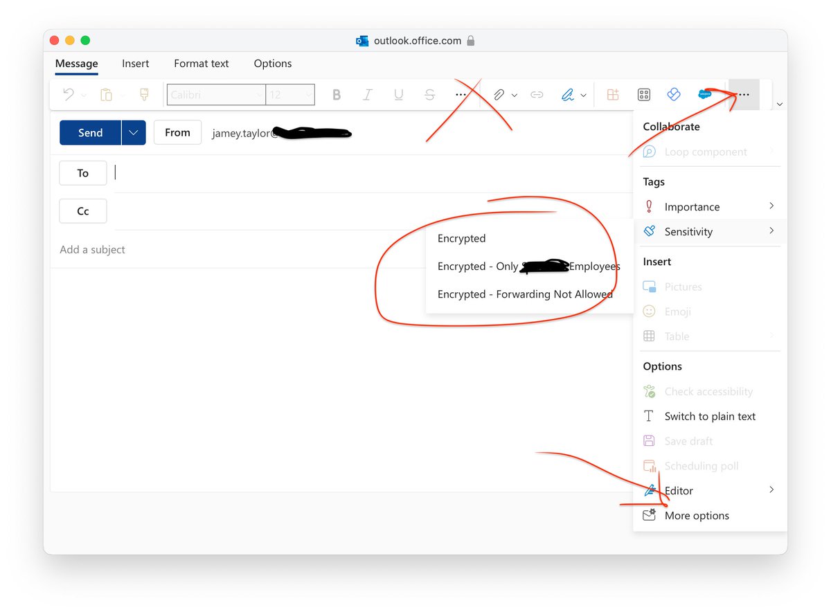 jameytaylor's tweet image. Employee: How do I encrypt an outgoing email?
Me: Simple!
Click the ellipses at the top. NO NOT THAT ONE! The other ellipses.
Then click Sensitivity and choose the appropriate option. NO NOT "MORE OPTIONS"! That SENSITIVITY OPTION has different OPTIONS! #badux #Microsoft365