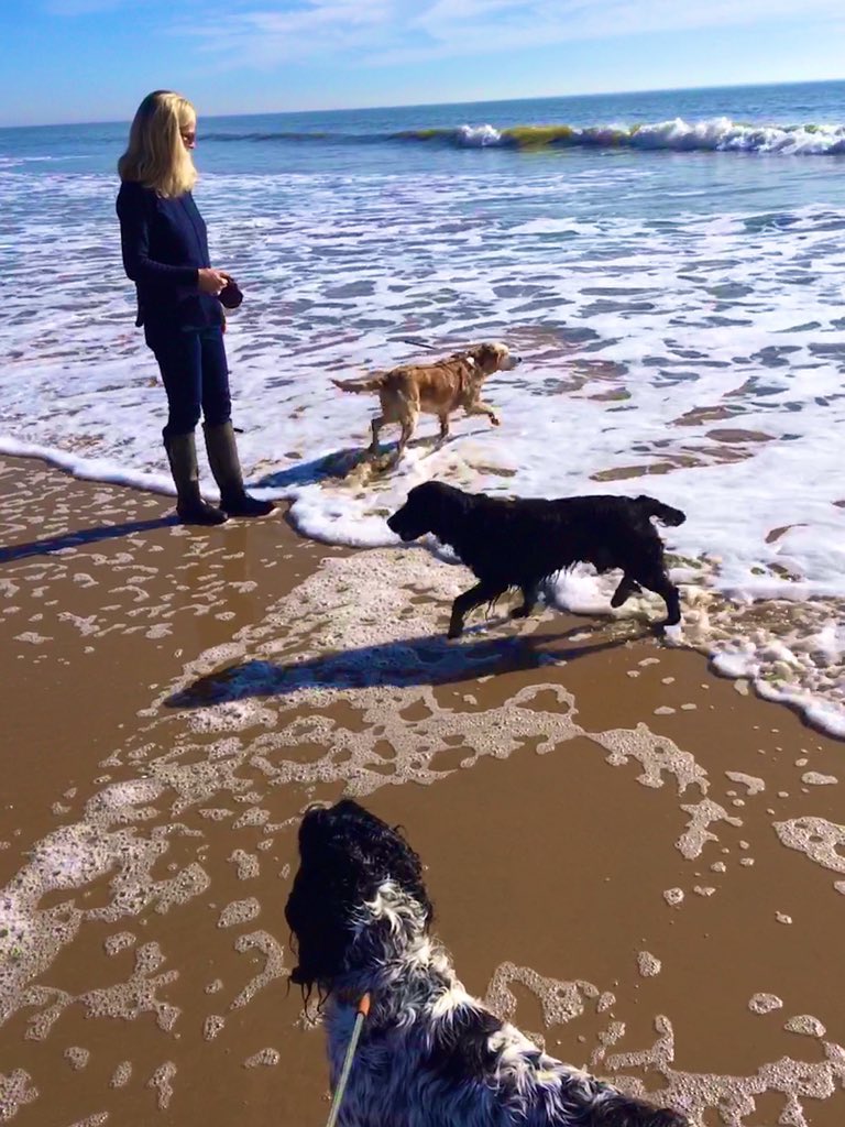 madcap_max's tweet photo. Frens, it’s #IWD2023 and although we like to give our HuMummy a lot of #nortysquad grief &amp; trouble on a daily basis we just wanted to let her know we appreciate her &amp; most impawtantly her treats! 🤣👍💙👏😋 #dogsoftwitter https://t.co/5ffzjforYU