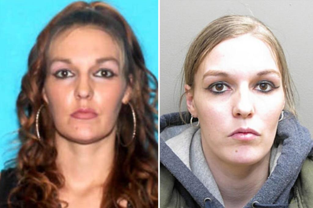 New York Post on Twitter "Blood of missing Michigan mom of eight found(00)