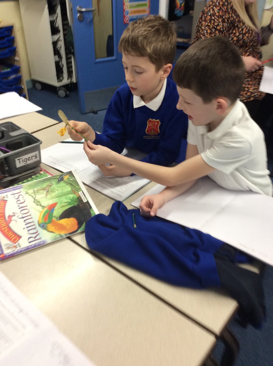 PatPriAcad's tweet photo. What's happened to Miss Ledger's flowers? Year 3 had some fantastic scientific explanations about how they could not get any nutrients from soil because they don't have roots attached. They also discussed how they had not had enough water or light! #PatYear3 #PatScience https://t.co/GHdzKMhO41