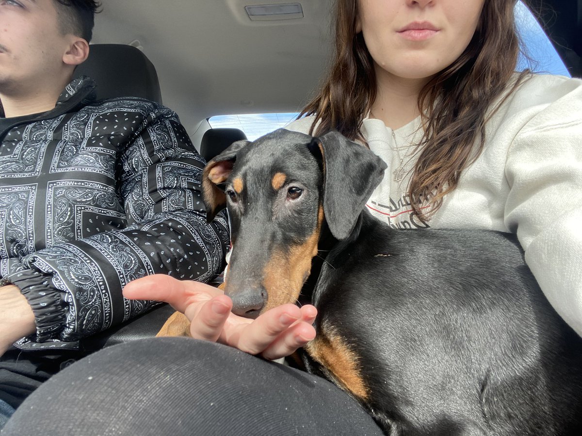 Nina__mari's tweet photo. Newest addition to the family.
He didn't get me flowers today🙄
But he did better and got me a puppy 😊😊😊😊 https://t.co/k4YcT38aa8