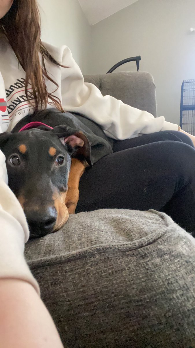 Nina__mari's tweet photo. Newest addition to the family.
He didn't get me flowers today🙄
But he did better and got me a puppy 😊😊😊😊 https://t.co/k4YcT38aa8
