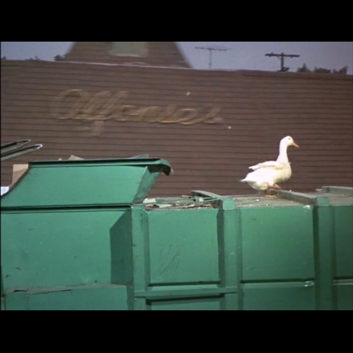 Alfonse’s was a popular watering hole for many Disney artists and it makes a brief cameo in ‘Million Dollar Duck’ (1971). #disneymovies #Disney #70sdisney #disneytrivia #DisTwitter