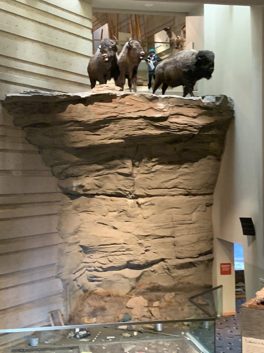 Grade 7s enjoying Head Smashed in Buffalo Jump @CCSD_edu