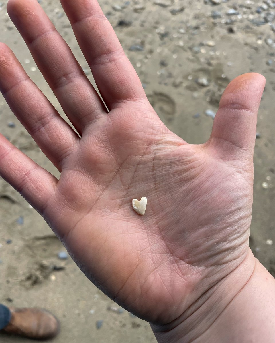 found a shell or rock shaped like a heart, and yes even I am throwing up a little internally for posting this tbh. Clearly in my live, laugh, fuck all the way off era. 😘