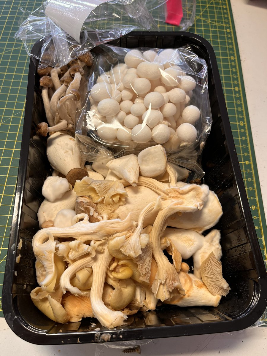 kerry_truman's tweet image. just your typical day in the #modelmaking workshop.. but one that involved casting mushrooms in alginate for a student concept model.. the #interiorarchitecture student community take inspiration from many things.. even food stuffs.. #workshoplife #makingstuff #architecturemodels