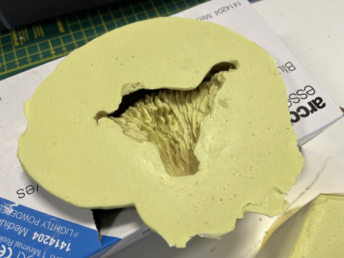 kerry_truman's tweet image. just your typical day in the #modelmaking workshop.. but one that involved casting mushrooms in alginate for a student concept model.. the #interiorarchitecture student community take inspiration from many things.. even food stuffs.. #workshoplife #makingstuff #architecturemodels
