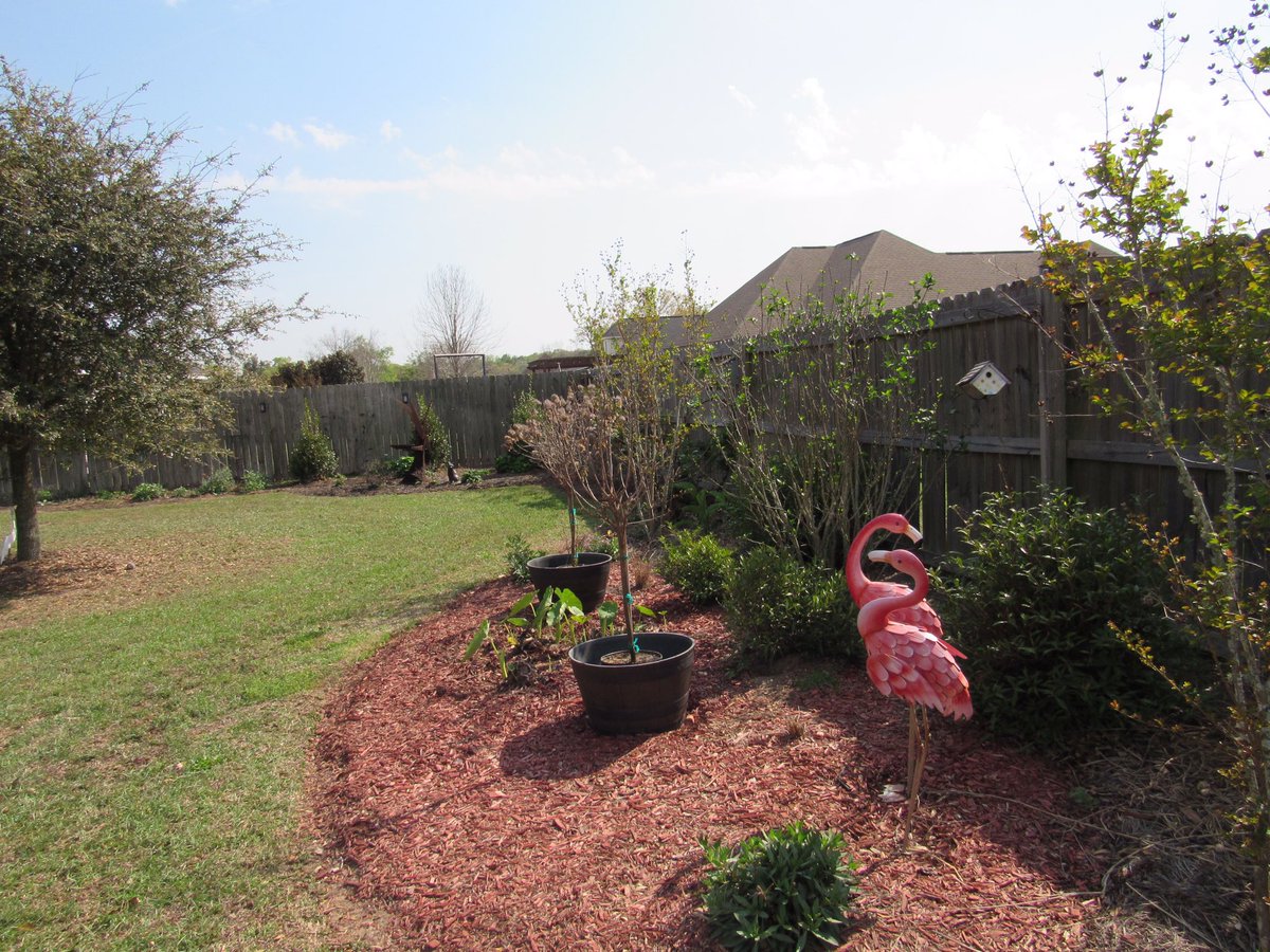 floretlover12's tweet image. July 15, 2022 and today! #gardening #summertime #waitingforspring