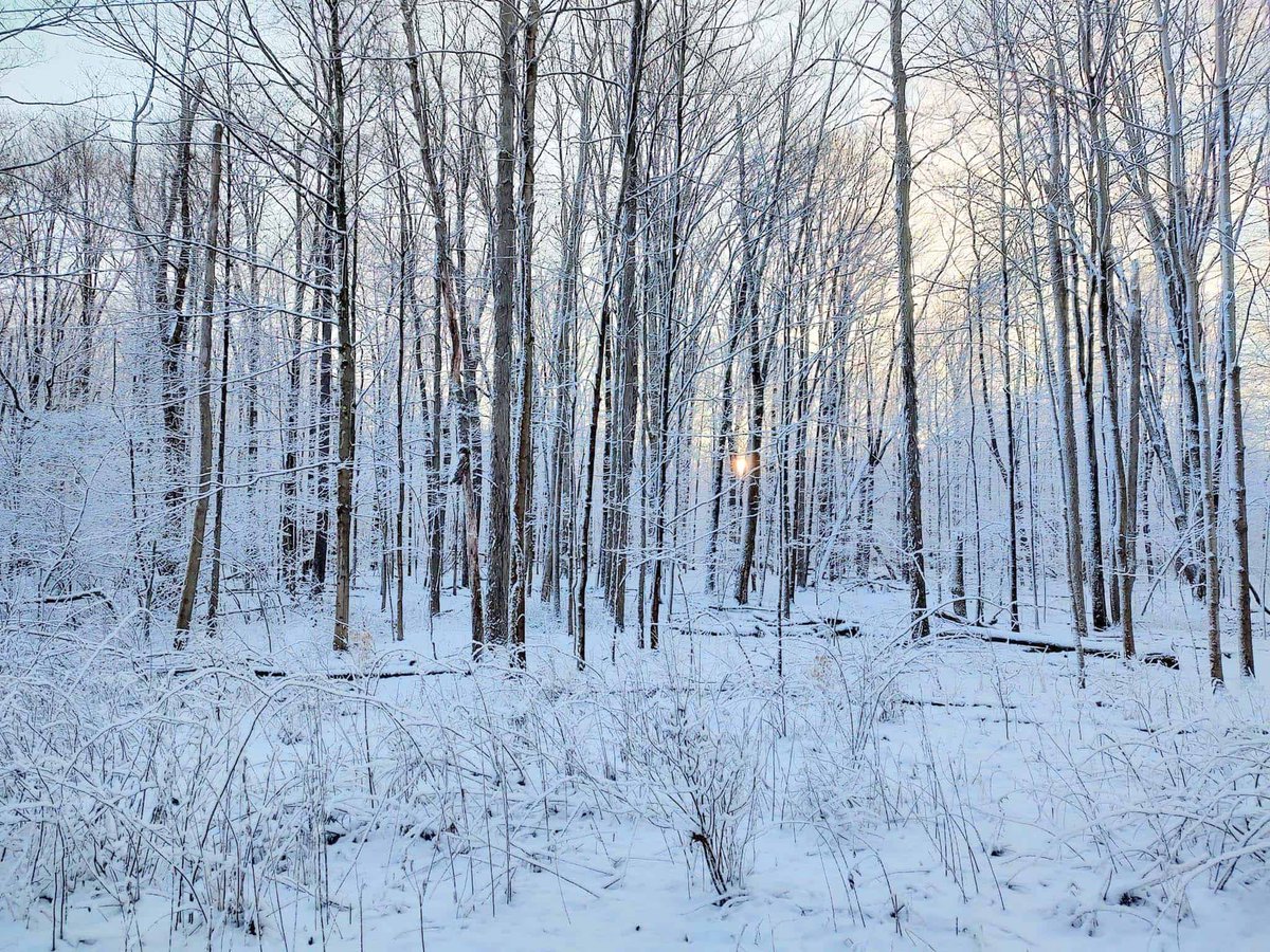 DCNRnews's tweet photo. Yesterday's snowy morning at #PymatuningStatePark left everything coated in a beautiful blanket of white. โ Winter may be holding on a bit longer! #PAStateParks
#PAWinter
#GetOutdoorsPA https://t.co/EHZcZAiRH6