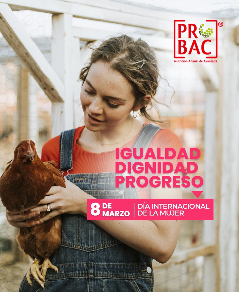 PROBACSA's tweet image. Conmemoramos el día por la igualdad y derechos de todas las mujeres. 

Por un trabajo digno, mismas oportunidades. 
————-
Probac 

#8Marzo #mujeresempoderadas #girlpower #igualdad