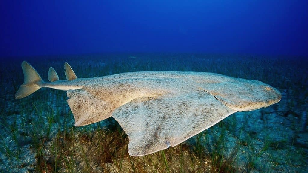 Happy #InternationalWomensDay!

Today is a day to celebrate all #women, working to break barriers for positive change 🙌