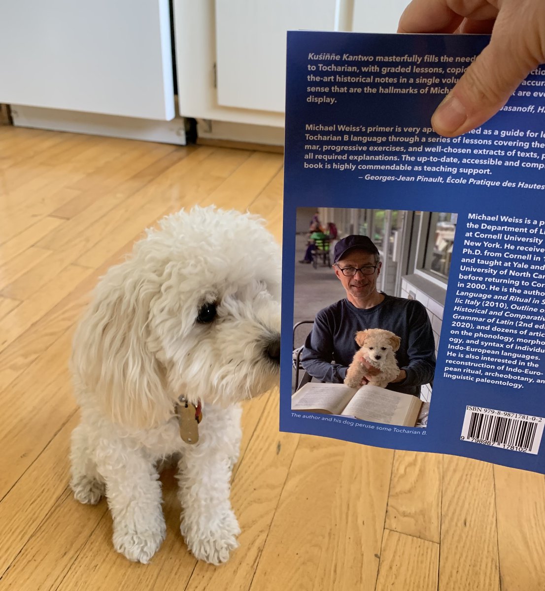 Kuśiññe Kantwo: Elementary Lessons in Tocharian B with Exercises, Vocabulary, and Notes on Historical Grammar is now available.  Floreant Studia Tocharica! beechstave.com/index.html