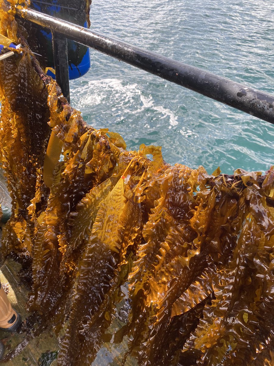 Fraser Brough tweet media