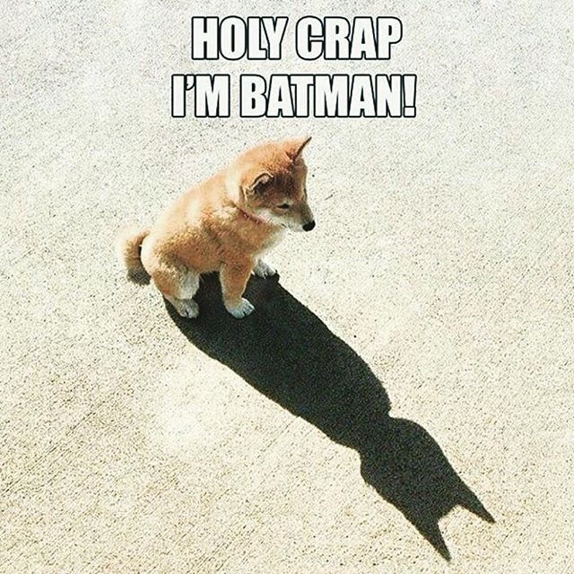 Duh-nuh-nuh-nuh, BATDOG!