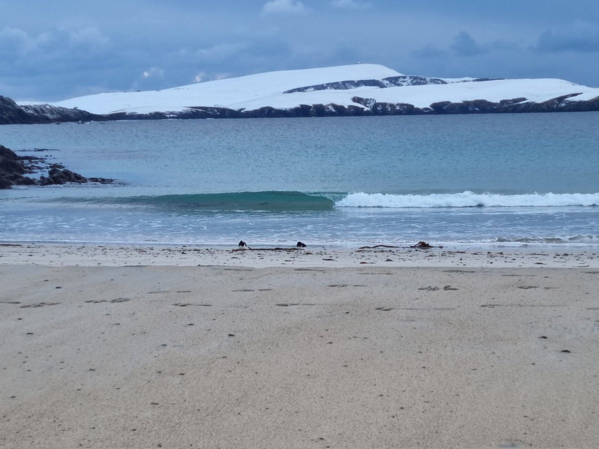 Bittersie Beanie kind of weather in Shetland this week. Here's a few from walk late yesterday at St Ninians Isle saand. Get the hat pattern here ravelry.com/patterns/libra… #Shetland #knittingtwitter