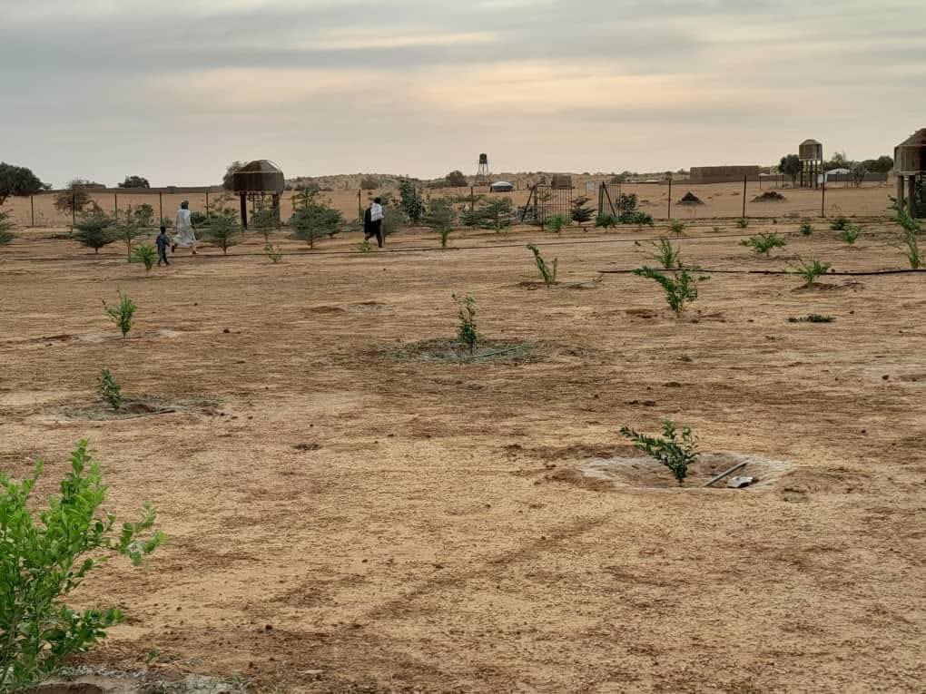 AgAnchawadje's tweet photo. Périmètre maraîcher du village de de #Inkourou dans la commune de D’Anchawadje, cercle de Djebock, région de Gao.
En effet, #Inkourou se situe à une cinquantaine de kilomètres à l’est de la région de Gao à 18 de l’arrondissement d’#Emnaghil et à cinq (5)du village d’#Enekar https://t.co/CgqrI6ocJJ