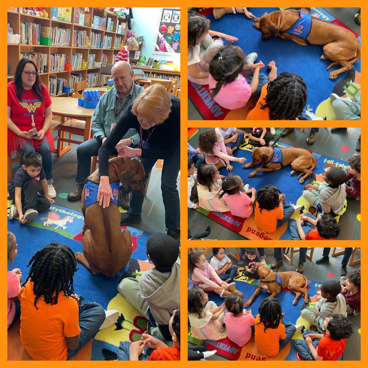 RCSDHBM's tweet image. @kinders_mrs Castellon’s Kindergarten class had a fun visit to the library to meet one of our therapy dogs, Kanzi. Miss Judy showed them the ‘ridge’ on her back (she is a Rhodesian Ridgeback) and the students had some great questions for her! 📚💚🦮 @RCSDNYS  @RCSDLibraries