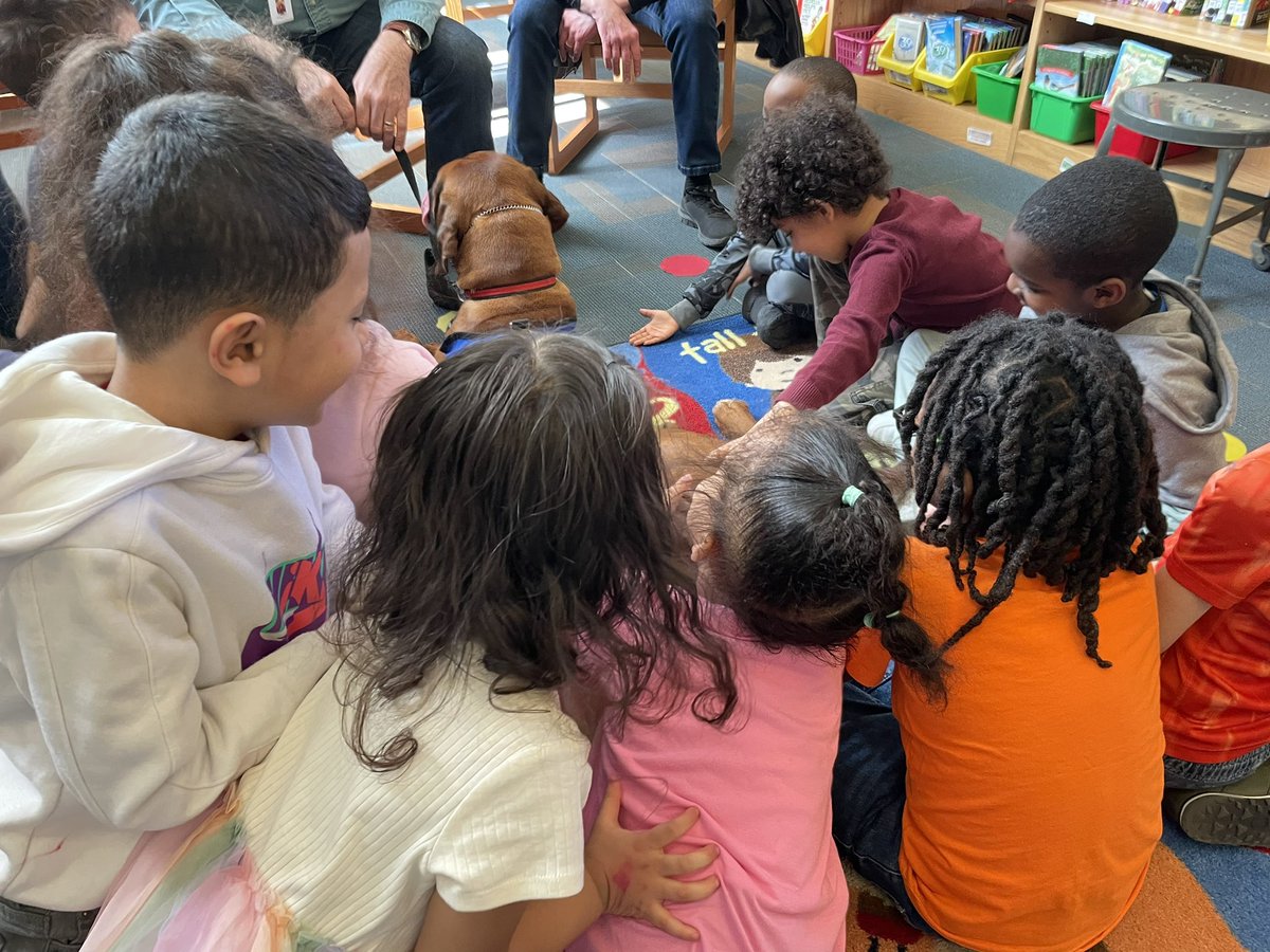 RCSDHBM's tweet image. @kinders_mrs Castellon’s Kindergarten class had a fun visit to the library to meet one of our therapy dogs, Kanzi. Miss Judy showed them the ‘ridge’ on her back (she is a Rhodesian Ridgeback) and the students had some great questions for her! 📚💚🦮 @RCSDNYS  @RCSDLibraries