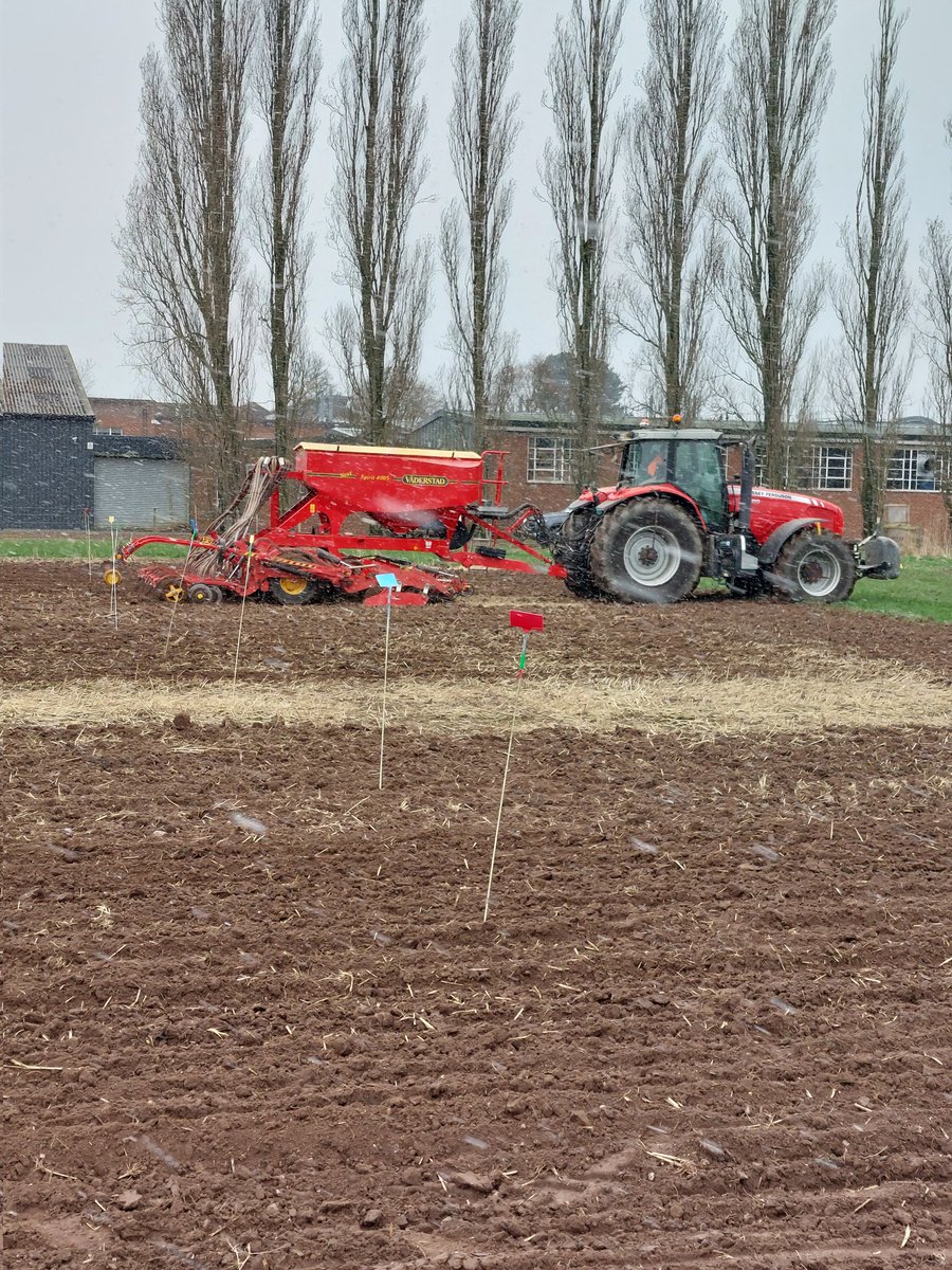 Drilling spring oats under way at the long-term Traffic x Tillage experiment <a href="/HarperAdamsUni/">Harper Adams University</a> 🌨❄️. Once again, a big thank you to <a href="/Vaderstad/">Väderstad</a> and the Engineering dept. for all the help and support in the field today! <a href="/BomfordTrust/">DouglasBomfordTrust</a> <a href="/MichelinagriUK/">Hijacked</a> Morley Ag Foundation  #springoats