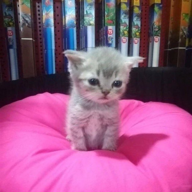 are u sillious right now