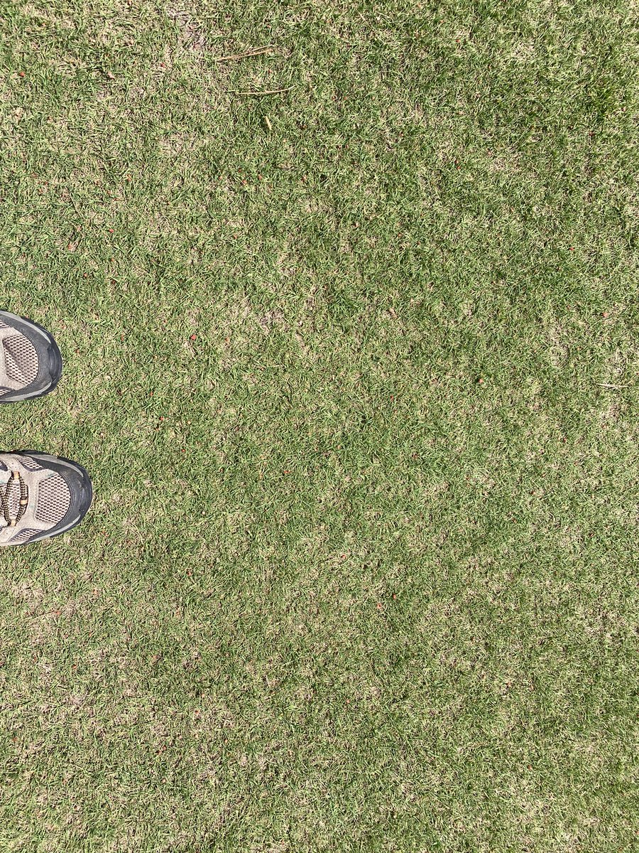 Starting to get out some 25-5-10 Gal xe <a href="/SimplotTurf/">Simplot Turf & Horticulture</a> <a href="/scottdotdotson/">Scott Dotson</a>