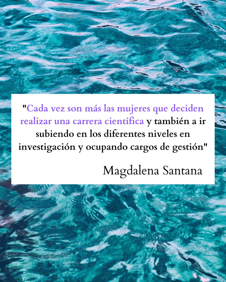 CanBioCanarias's tweet photo. Entrevista sobre la mujer en la ciencia a Magdalena Santana, investigadora en el subproyecto #CanOA
#CanBio con el #8M 💜
#CanBioCanarias #ULL #ULPGC #QUIMA #medioambiente #fondosmarinos #acidificaciónoceánica #8DeMarzo #DiaDeLaMujer https://t.co/GWiKHorhps