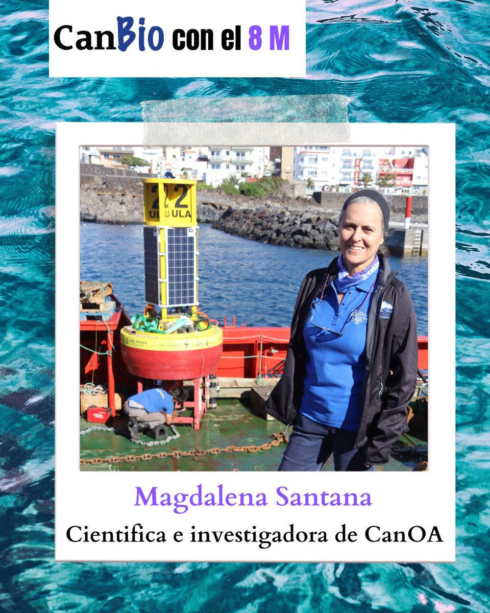 CanBioCanarias's tweet photo. Entrevista sobre la mujer en la ciencia a Magdalena Santana, investigadora en el subproyecto #CanOA
#CanBio con el #8M 💜
#CanBioCanarias #ULL #ULPGC #QUIMA #medioambiente #fondosmarinos #acidificaciónoceánica #8DeMarzo #DiaDeLaMujer https://t.co/GWiKHorhps
