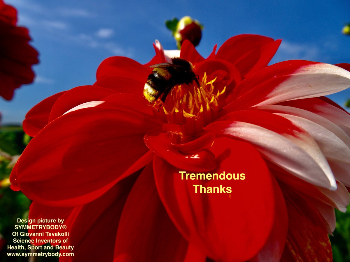 symmetrybody's tweet photo. @SepidedameIran @Saideh96644528 @Mahizadyaar @Stanford @StanfordGSB @StanfordLaw @khansarinia @NUFDIran @PahlaviReza @ShahbanouFarah @KarimKhanQC @POTUS Tremendous Thanks.
Long  Live The majesty of the King @PahlaviReza &amp; Queen @ShahbanouFarah 
#KingdomWithPahlavi 
@pouneh99969186 
@Saideh96644528 
@kiarashfarasat1 
@IRANVAGABOND 
@pouneh99969186 
@MonaRona55 
@khajeyetariki 
@goodbadatusa 
@saba1930 
#CyrusTheGreat
@symmetrybody https://t.co/ll6gkUwBjr