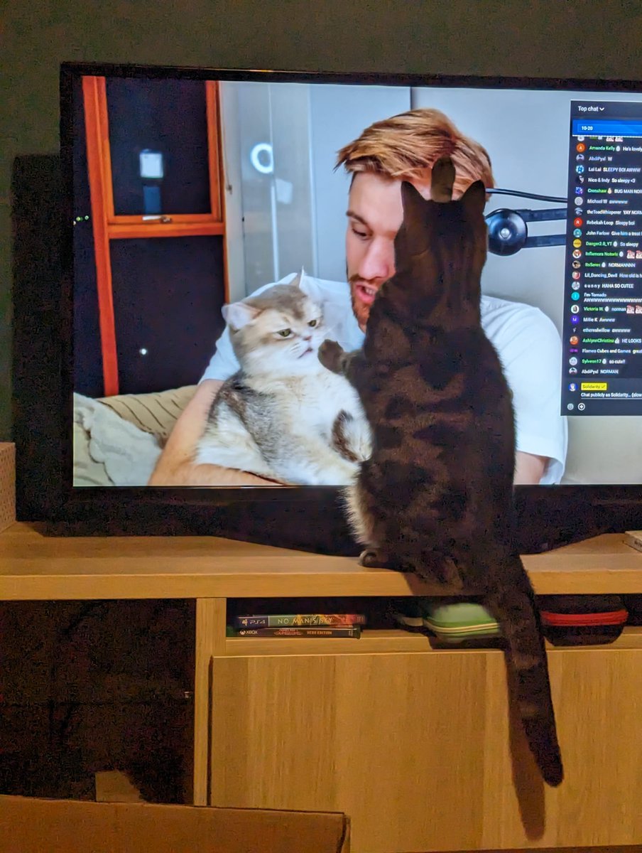 Laya loved seeing Norman at the end of <a href="/SolidarityCoUK/">Solidarity</a>'s stream 🐾🐾