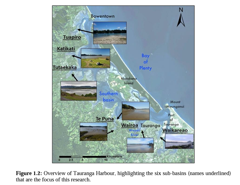 New #OpenAccess PhD from @Waikato: 

“The experiences I give them, that is going to be their opinion”: Formative assessment through dialogue in Technology Education by 
<a href="/PdR_NZ/">Peter de Ruiter</a>

hdl.handle.net/10289/15403

#coastalsystems #hydrodynamics #estuary