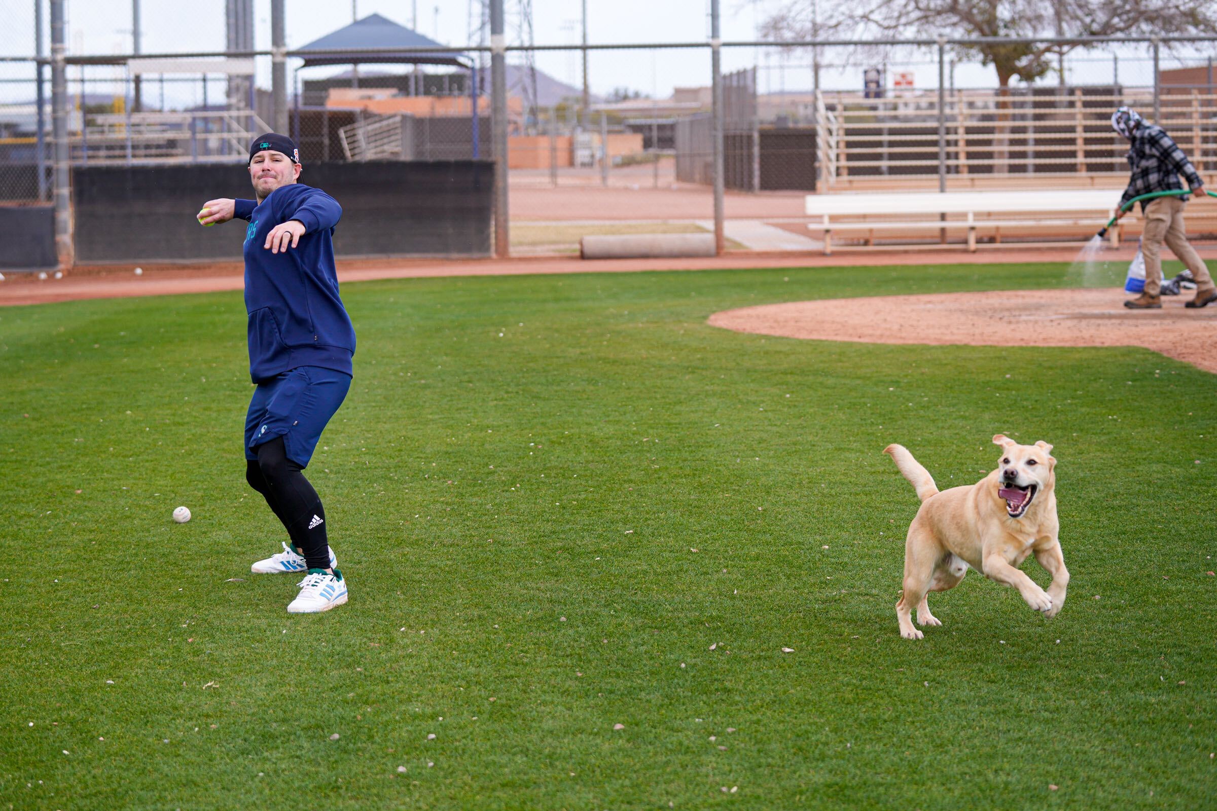 Mariners introduce Tucker, team's new clubhouse dog from local shelter 