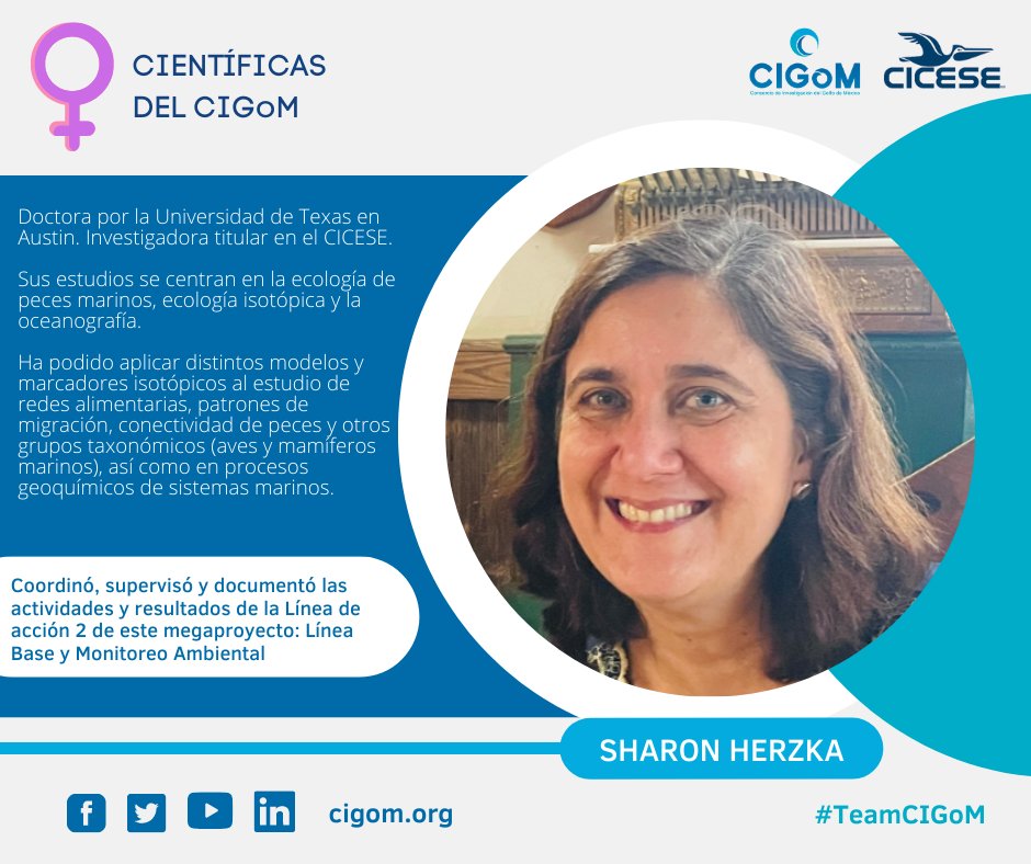 CIGoMorg's tweet photo. #8M #MujeresEnCiencia #MujeresEnSTEM
Las mujeres conforman el 45% de los recursos humanos que han participado en el CIGoM. Los resultados multidisciplinarios obtenidos en este consorcio no podrían haberse realizado sin su vital apoyo. ¡Gracias a todas! https://t.co/MMKzM0mEt3