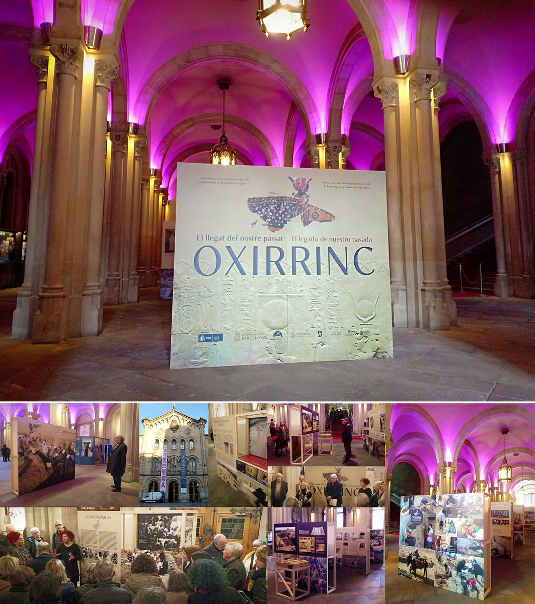 AlbertNavarroC's tweet photo. Així va lluïr la inauguració ahir de l'exposició "Oxirrinc" al vestíbul històric de la @UniBarcelona , 30 anys d'excavacions arqueològiques de la UB a Egipte #dissenyexpositiu #dissenygràfic https://t.co/MSdebXo40O