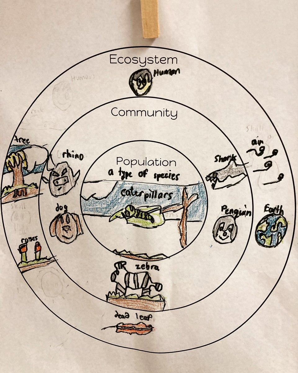 Crowley ISD On Twitter Students At Jackie Carden Elementary Have 