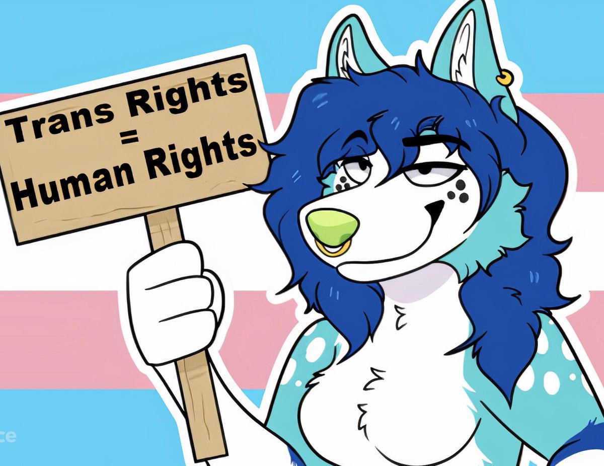 bluefolf's tweet photo. Trans Rights are Human Rights 🏳️‍⚧️ 
            🎨 - @gjaravont https://t.co/t35wup6ozj