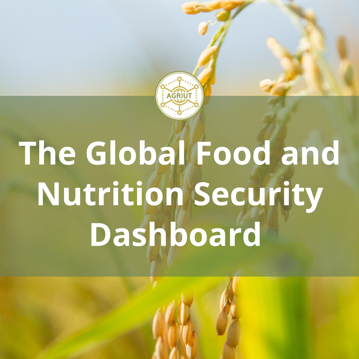 The Global Food and Nutrition Security Dashboard is a tool that provides an up-to-date snapshot of global hunger, undernutrition, and food insecurity which informs public policy, donor decisions, &amp; investments to tackle global hunger and nutrition. 

🌐 youtu.be/YyScrQgpWAg