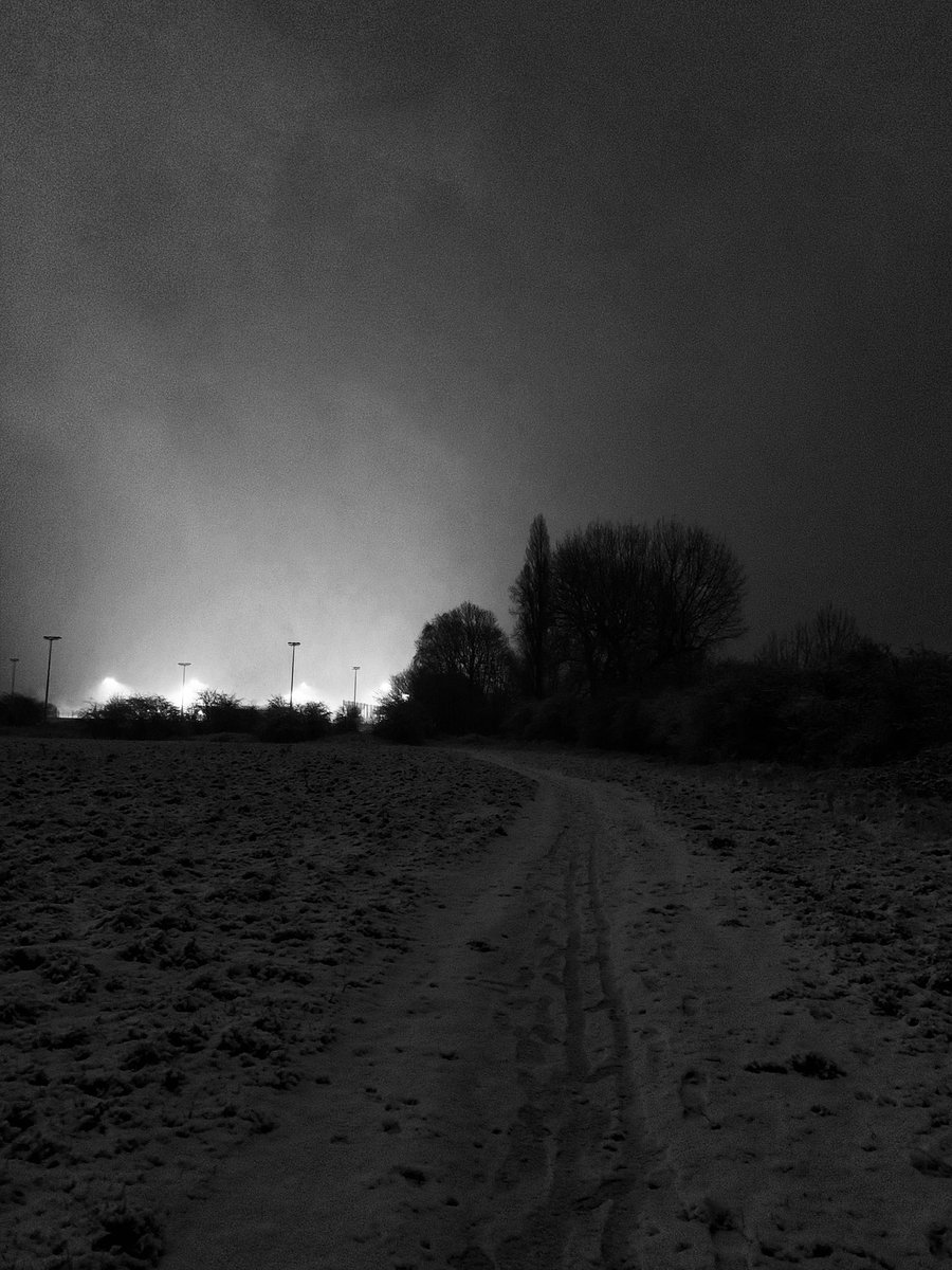 MichelleOlner's tweet image. Couldn’t resist a little nighttime walk in the snow.  It’s bitterly cold out ❄️