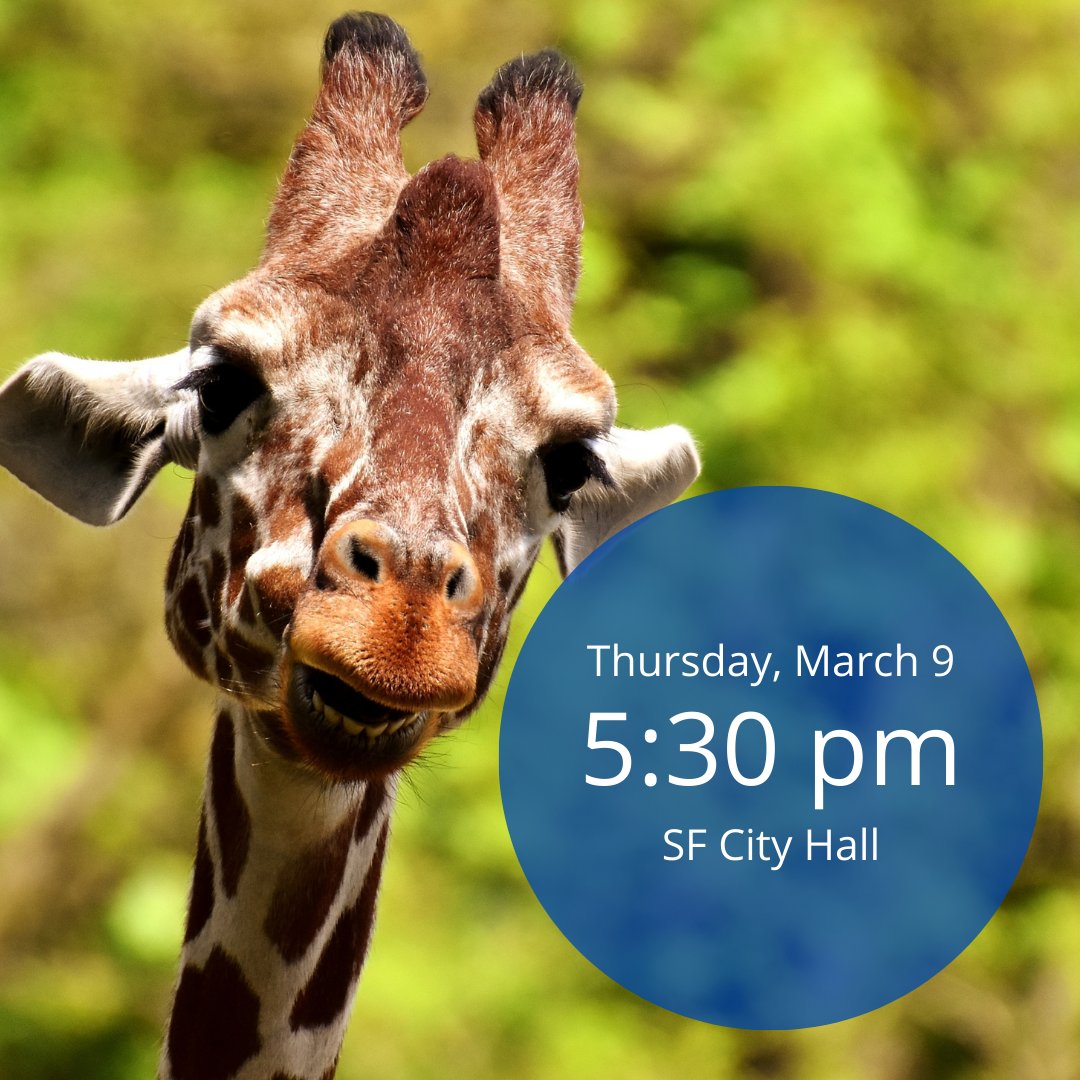SFAnimalComm's tweet photo. Please join the Commission of Animal Control and Welfare for the March 2023 meeting. 

Thursday, March 9, 2023
5:30 pm

City Hall
1 Carlton B. Goodlett Pl
Room 408
San Francisco, CA 94102

You can watch via WebEx. https://t.co/CnKp3ukYJE https://t.co/s1s0zrrR68
