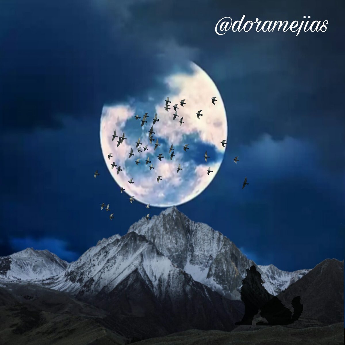 doramejias's tweet photo. Si la luna me respondiera?
Que historias me contaria?
Confidencias entre tu y yo. https://t.co/0CDGrDBzJn