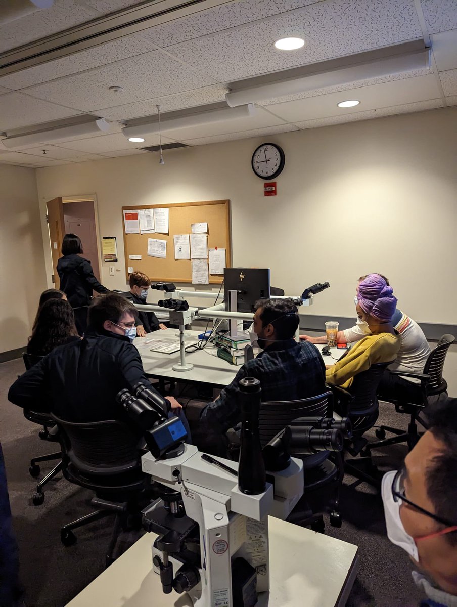 UW Pathology Res and Fel (@uwlmpathres) on Twitter photo Last week we had the pleasure of welcoming Dr. Crum from <a href="/BWHPath/">Brigham and Women's Pathology</a> to our campus and city! We loved this interactive in person slide session- thank you Dr. Crum!
#PathTwitter Last week we had the pleasure of welcoming Dr. Crum from <a href="/BWHPath/">Brigham and Women's Pathology</a> to our campus and city! We loved this interactive in person slide session- thank you Dr. Crum!
#PathTwitter