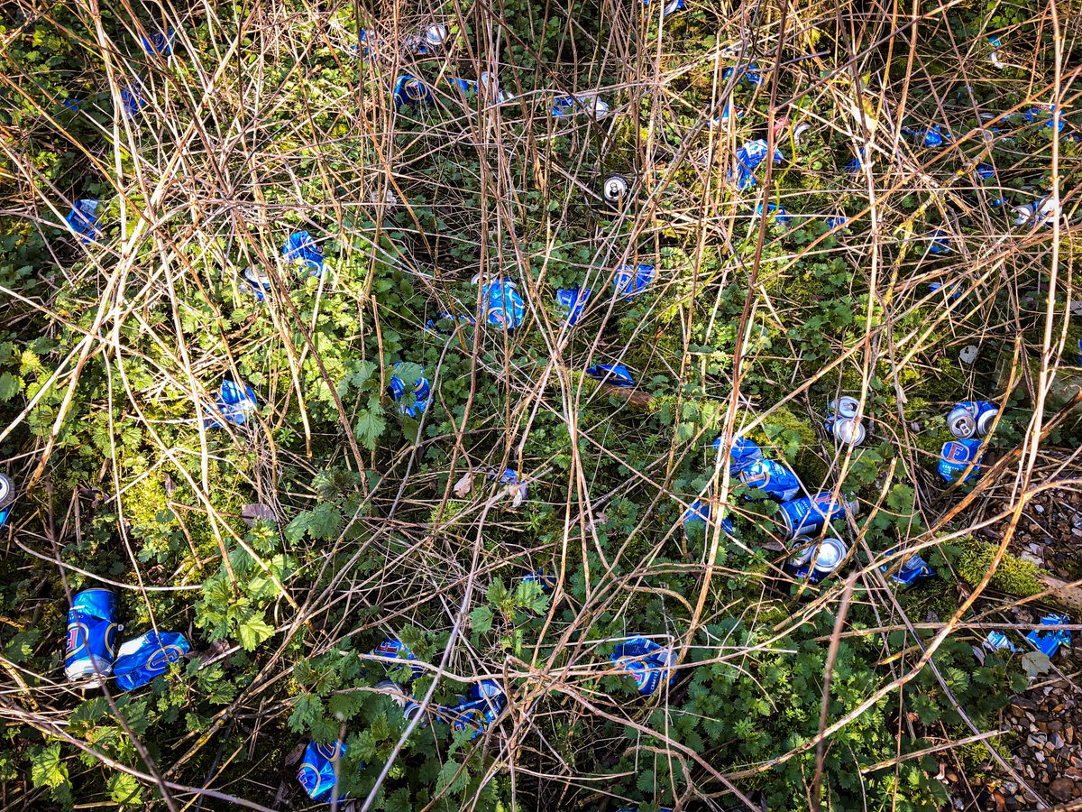 Clean Up Britain tweet media