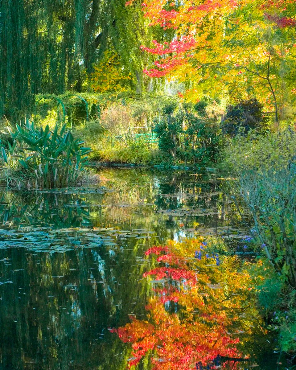 🇫🇷🎨 FLASH | La maison du #peintre Claude #Monet située à Giverny va rouvrir ses portes au public à partir du 1er avril prochain. 

👉 Cette maison, dans laquelle Monet a vécu de 1883 à 1926, a inspiré l’artiste dans plusieurs de ses œuvres dont les célèbres Nymphéas.