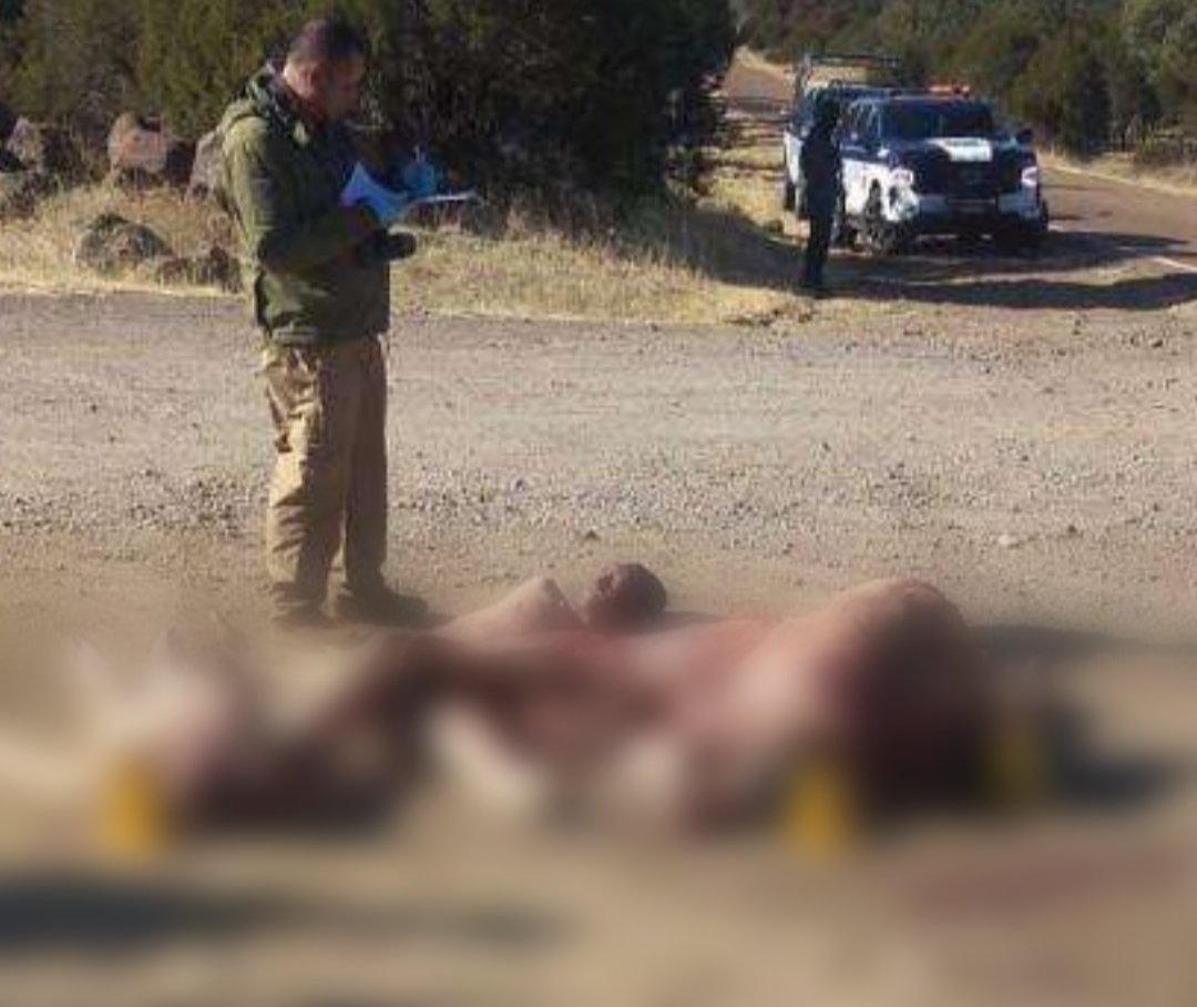 cardonamex's tweet photo. La violencia del Narco en Madera, Chihuahua, no sabe de los Abrazos de @lopezobrador_  ni los programas de seguridad de @MaruCampos_G . Dejan 4 cadáveres desmembrados, en carretera. Personas habían sido reportadas como desaparecidas. Cuidado, Imagen aterradora. ¡Qué país López! https://t.co/pY5h8z7Pqi
