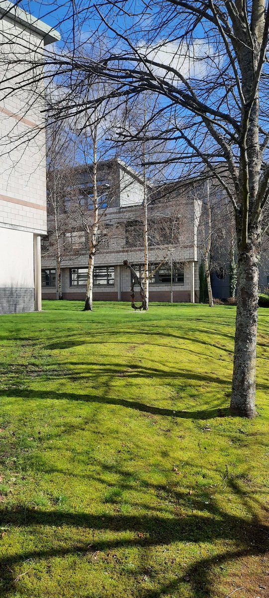 Dr. Nigel McKelvey tweet media