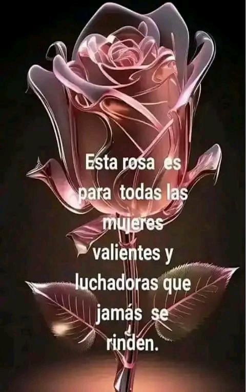 <a href="/RMMatanzas/">Región Militar Matanzas 🐊</a> la mujer cubana, simbolo de rebeldia, de patriotismo, de valentia, de amor, sentimiento, ternura y compromiso con  su familia y con su pueblo.
#MujeresEnRevolución 
#MejorEsPosible #YoVotoXTodos.