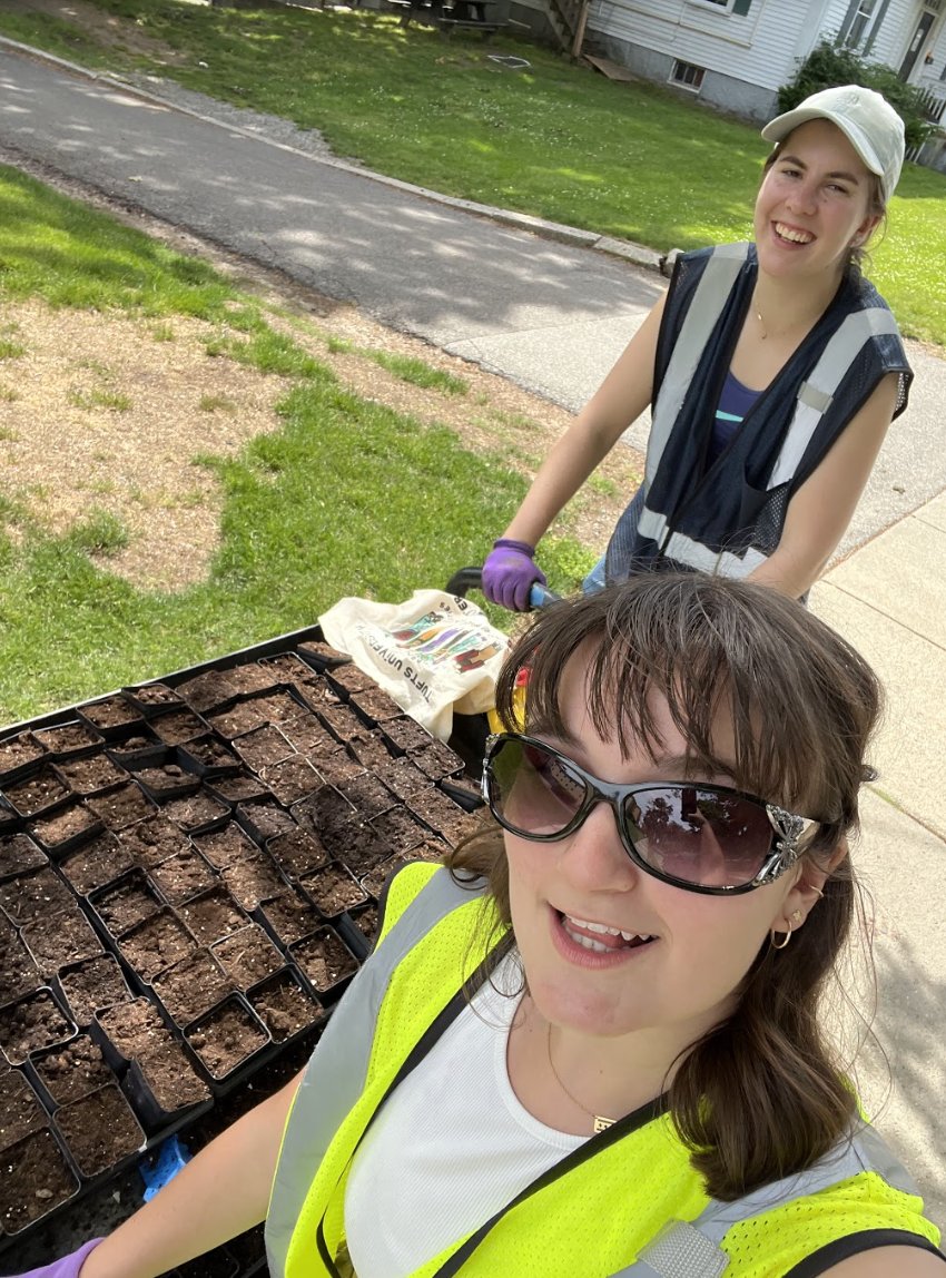 Tufts Pollinator Initiative tweet media