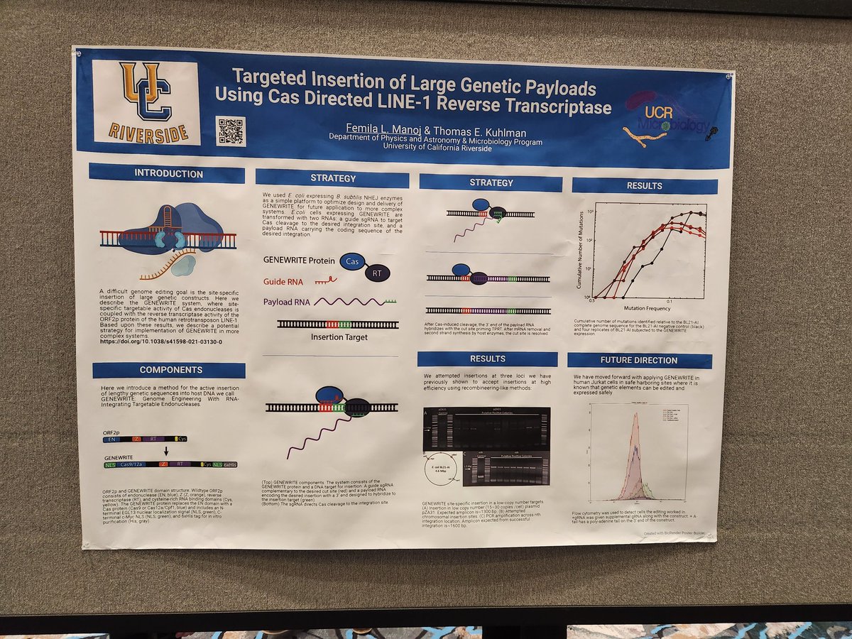 Femila L. Manoj | பெமிலா மனோஜ் tweet media