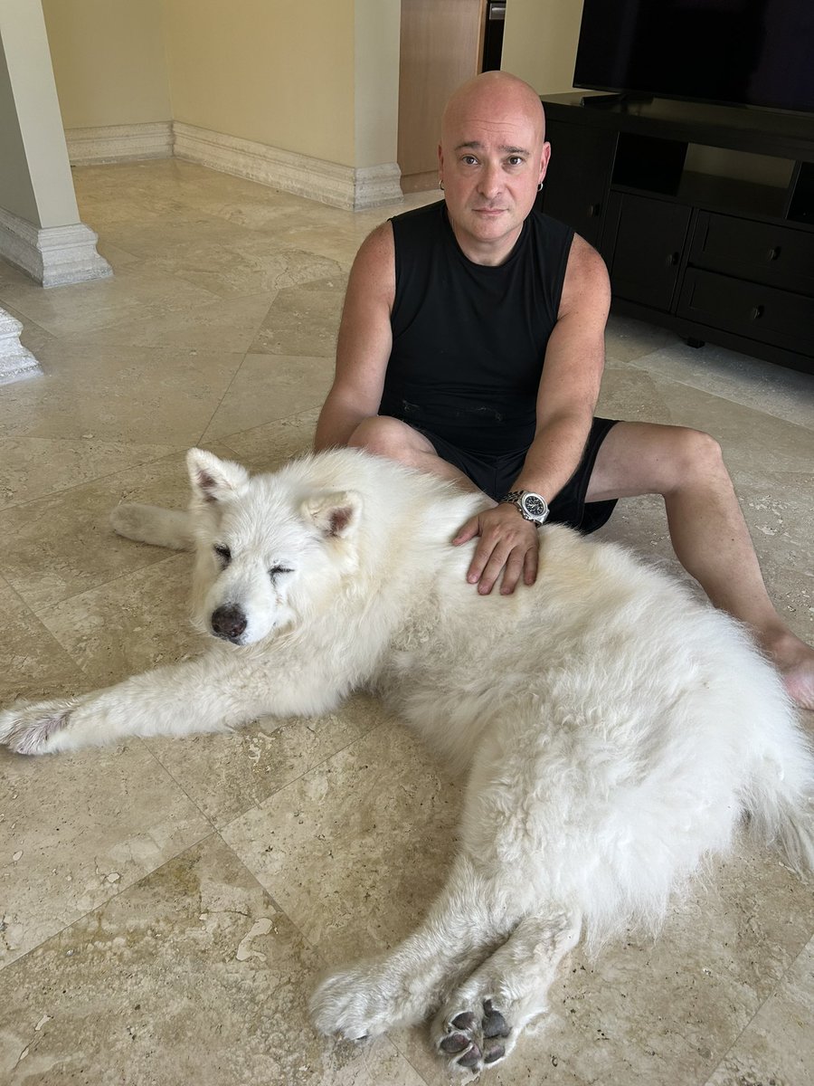 David Draiman 🟦🇺🇸🇮🇱✡️☮️ tweet media