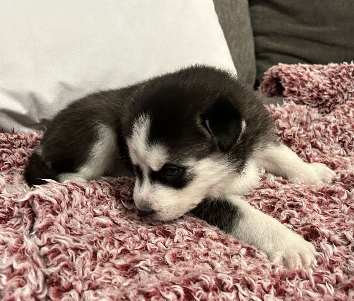 jonathan a watts tweet media