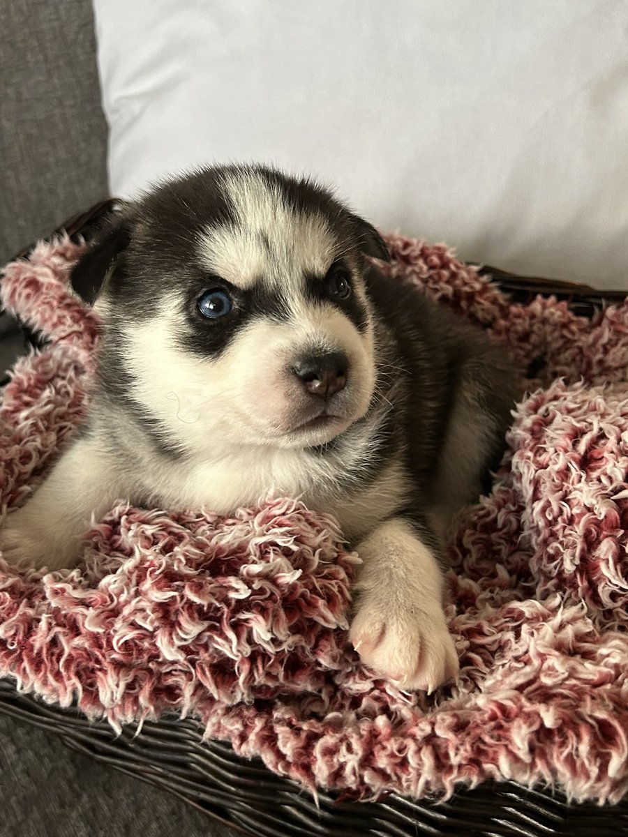 jonathan a watts tweet media